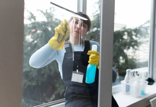 Nettoyage de vitres intérieures et extérieures au Pouzin